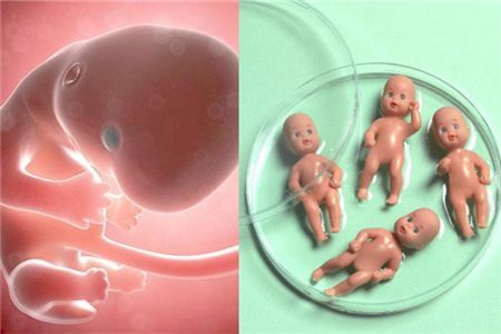专业孕妈供卵助孕包生儿子
